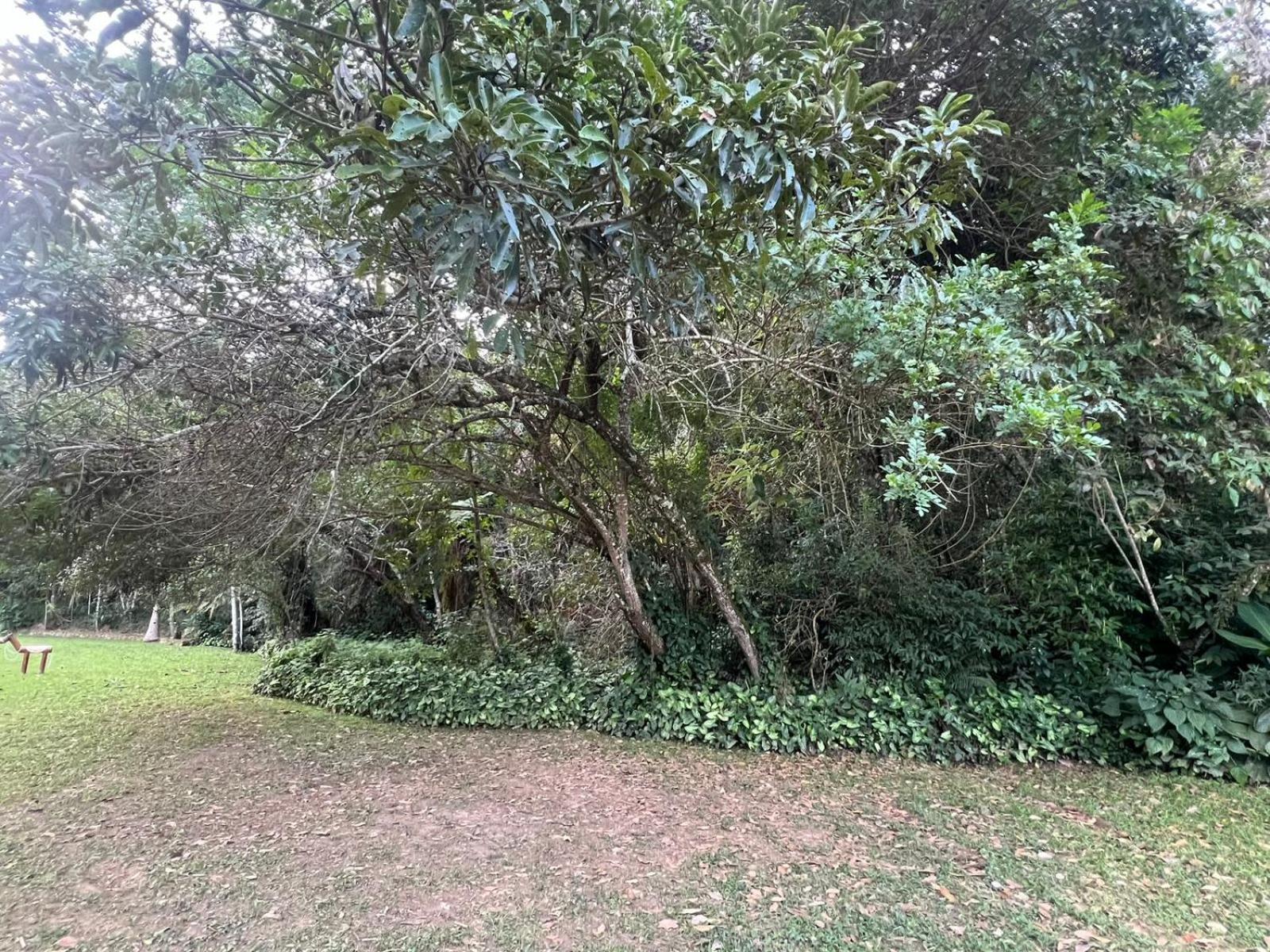 Pousada Candonga Da Serra Tiradentes Luaran gambar